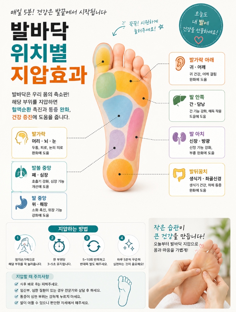 발바닥 위치별 지압 효과
